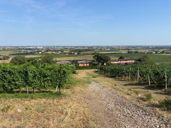 casa indipendente in vendita a Sommacampagna