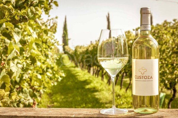 terreno in vendita a Sommacampagna in zona Custoza