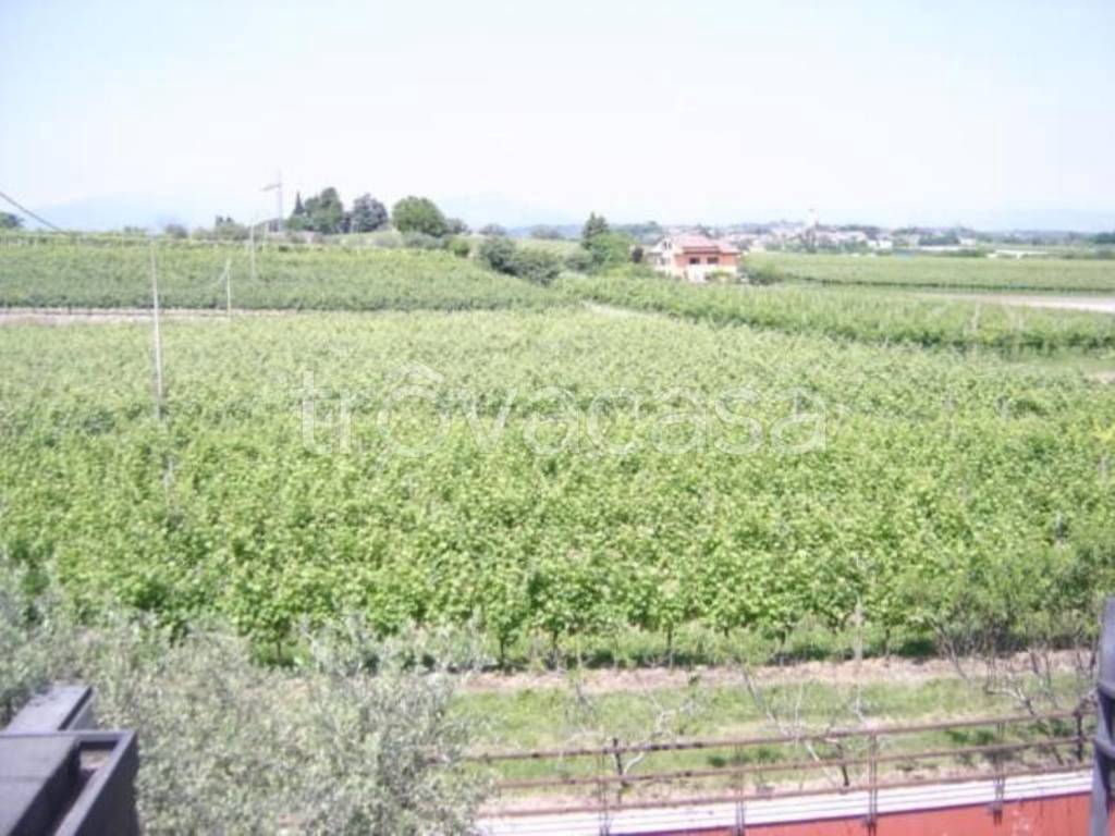 casa indipendente in vendita a Sona in zona San Giorgio in Salici