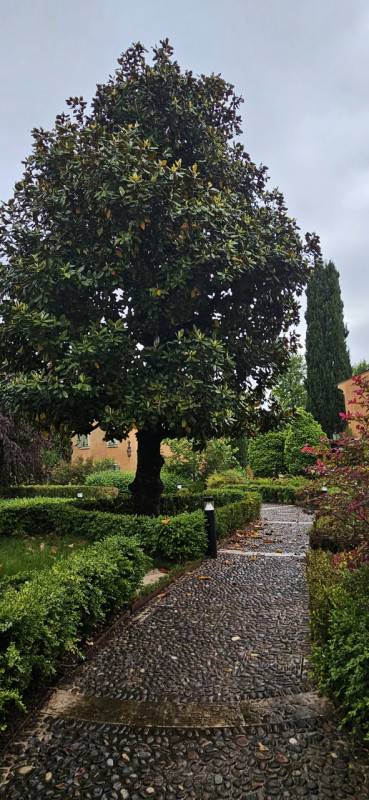 appartamento in vendita a Sona