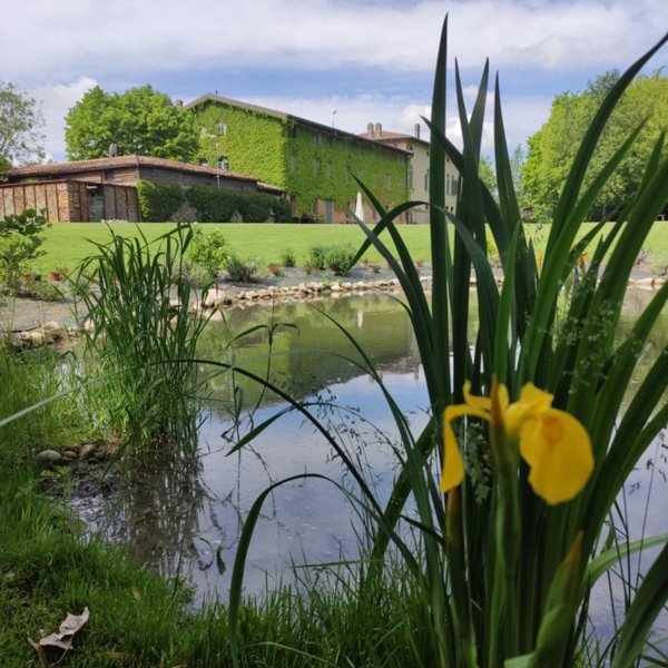 appartamento in vendita a Sona