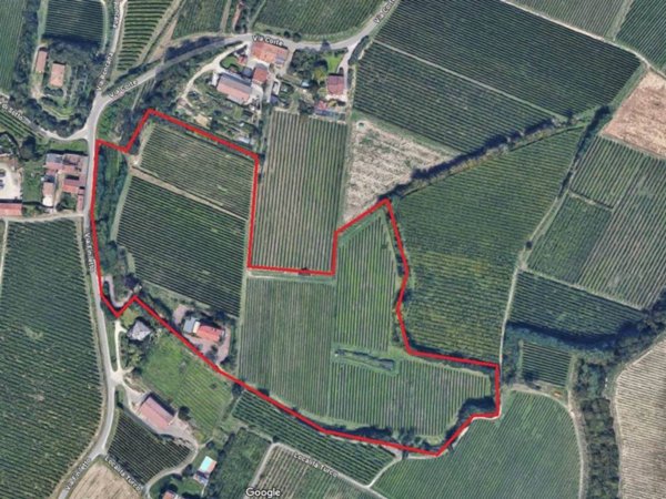 terreno agricolo in vendita a Sona
