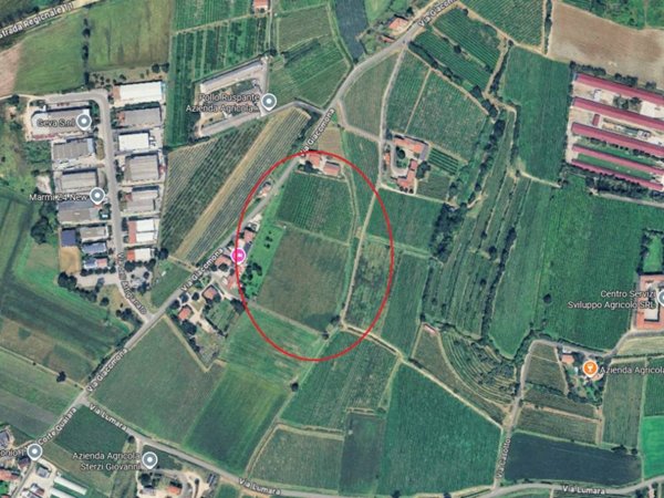 terreno agricolo in vendita a Sona