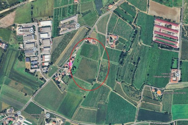 terreno agricolo in vendita a Sona