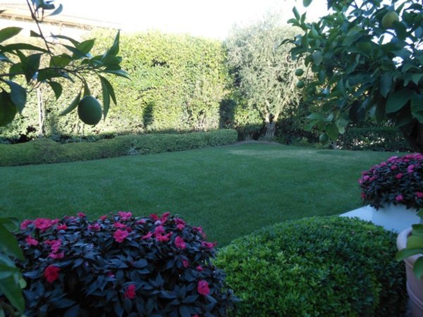 casa indipendente in vendita a Sona