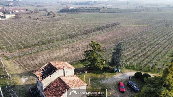 azienda agricola in vendita a Sona