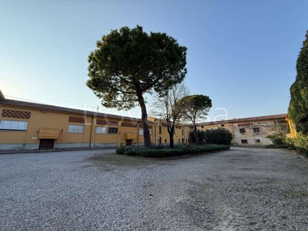 negozio in vendita a Sona