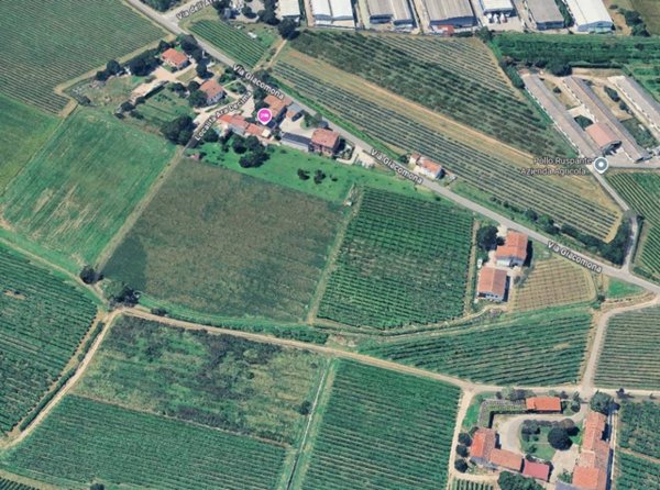 immagine annuncio 0 di 15