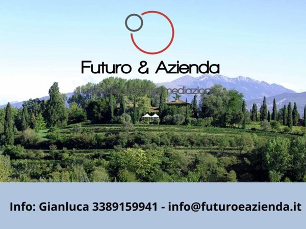 negozio in vendita a Sona