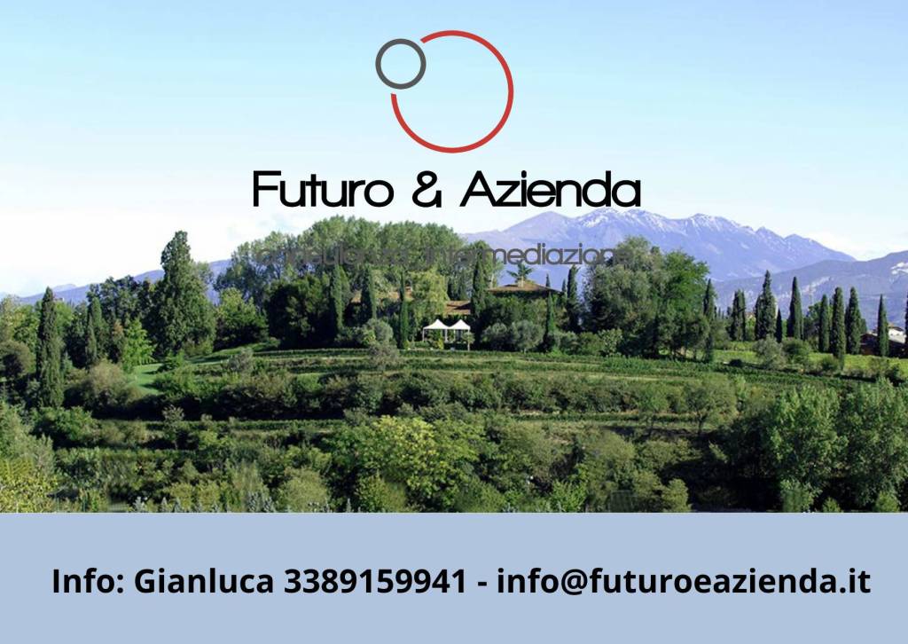 negozio in vendita a Sona