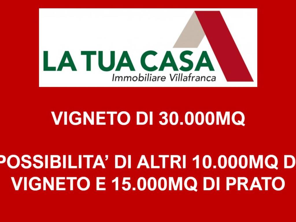 terreno agricolo in vendita a Sona