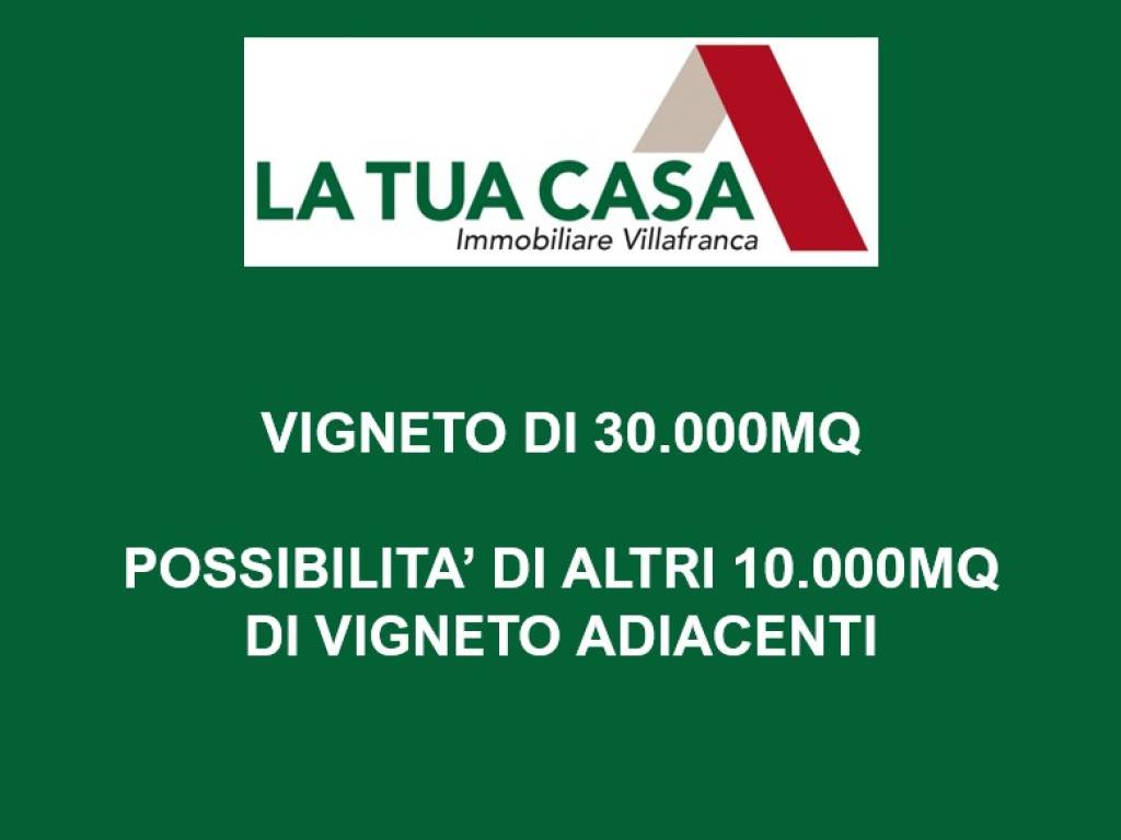 terreno agricolo in vendita a Sona