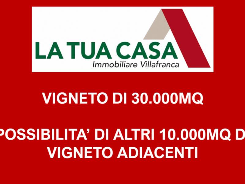 terreno agricolo in vendita a Sona