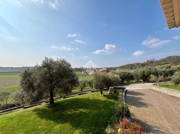 immagine annuncio 0 di 15