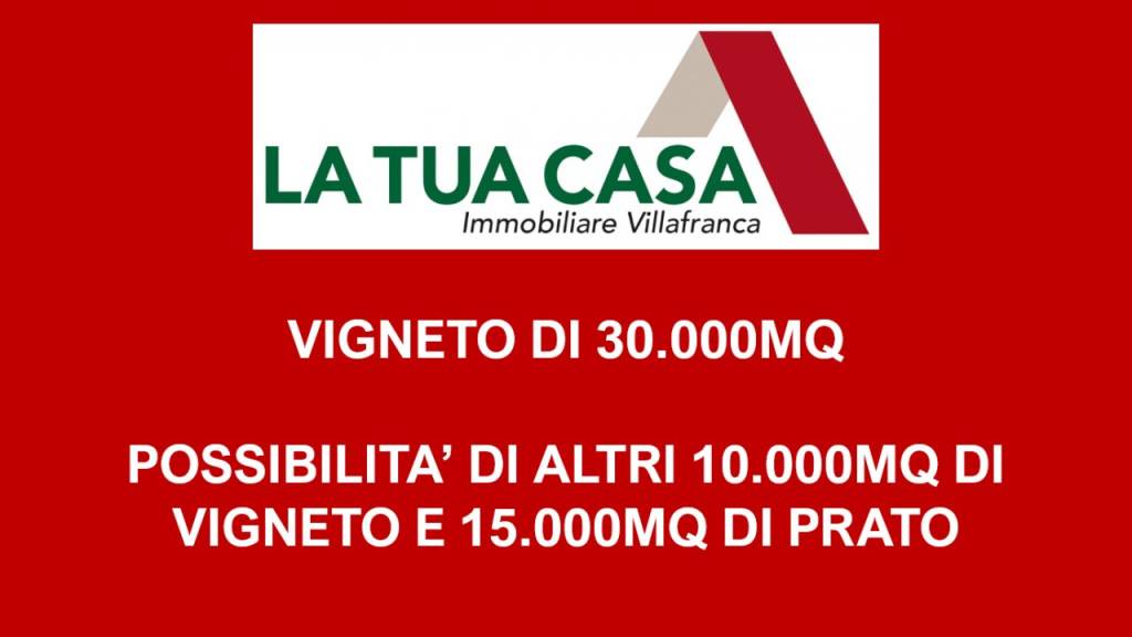 terreno agricolo in vendita a Sona