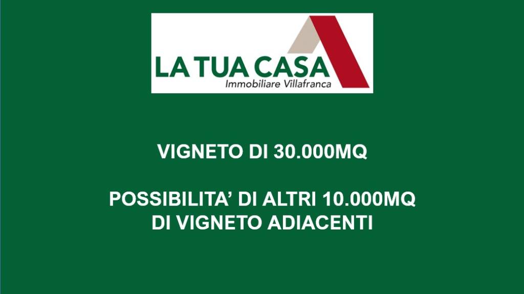 terreno agricolo in vendita a Sona