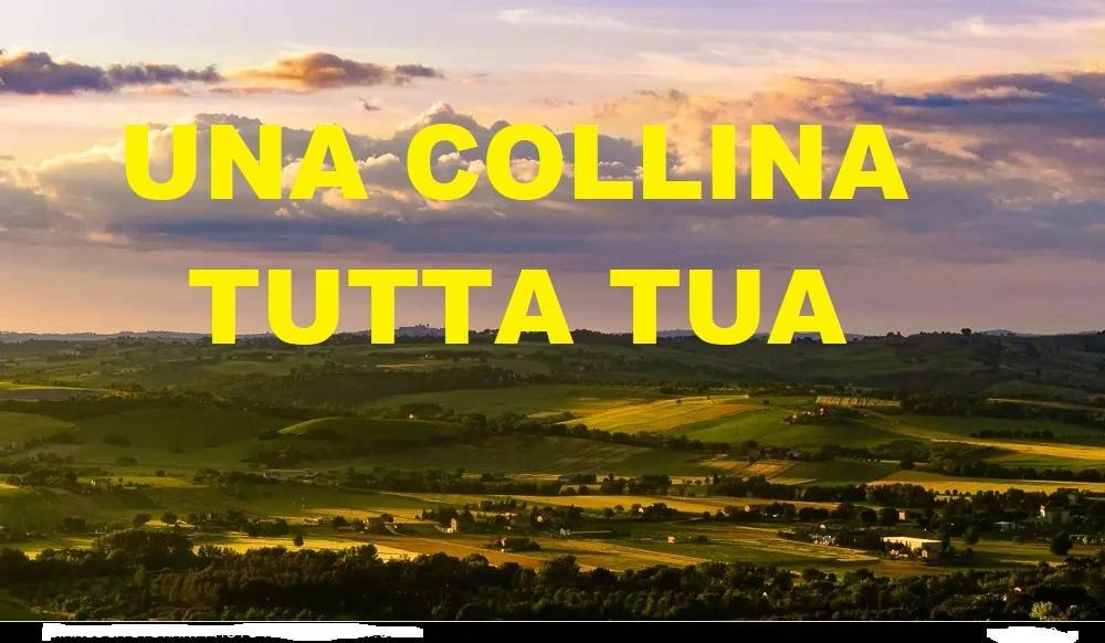 terreno agricolo in vendita a Sona