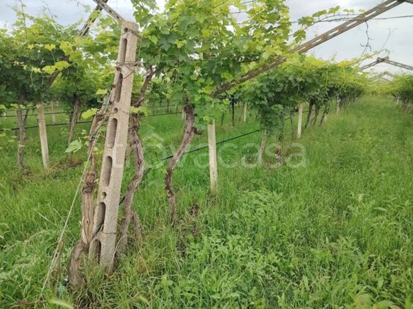 terreno agricolo in vendita a Sona in zona San Giorgio in Salici