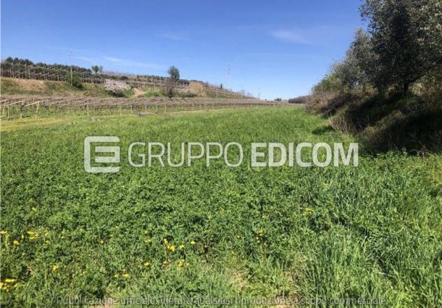 terreno agricolo in vendita a Sona in zona Palazzolo