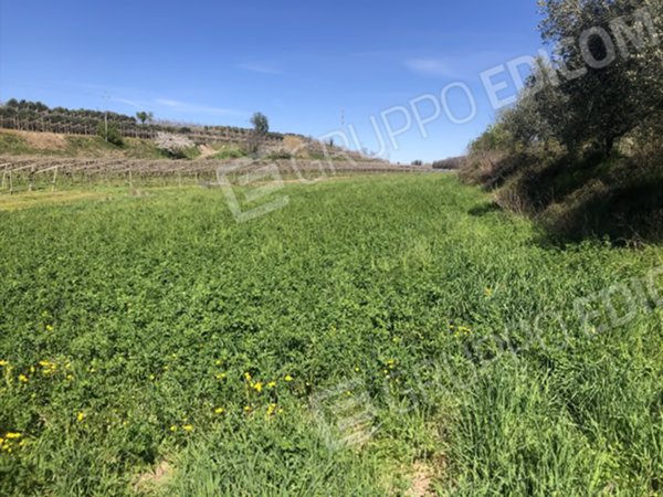 terreno edificabile in vendita a Sona in zona Palazzolo