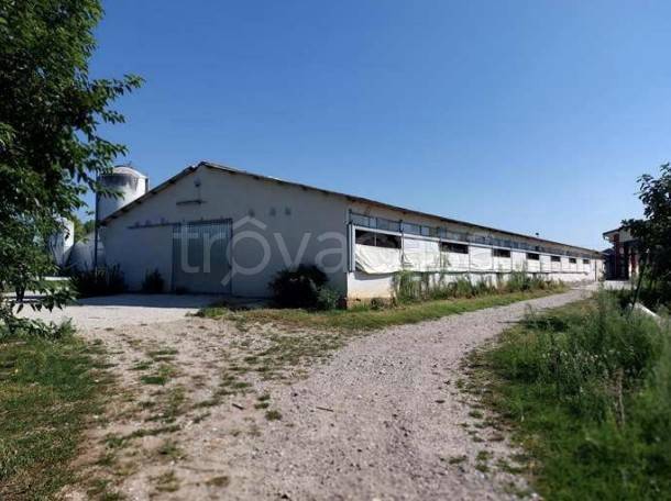 azienda agricola in vendita a Sona