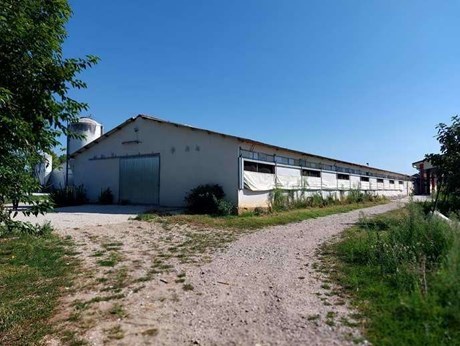 locale commerciale in vendita a Sona in zona San Giorgio in Salici