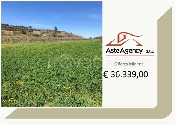 terreno agricolo in vendita a Sona in zona Palazzolo