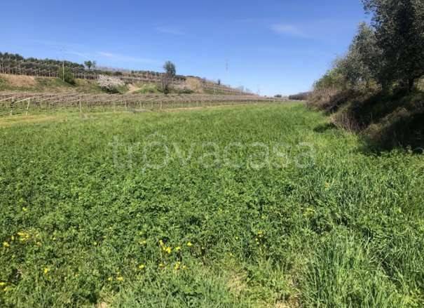 appartamento in vendita a Sona in zona Palazzolo