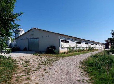 casa indipendente in vendita a Sona in zona San Giorgio in Salici