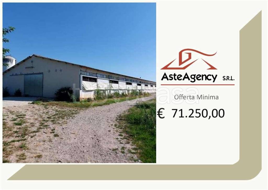 azienda agricola in vendita a Sona in zona San Giorgio in Salici