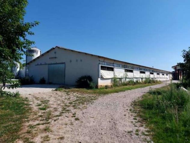 locale commerciale in vendita a Sona in zona San Giorgio in Salici