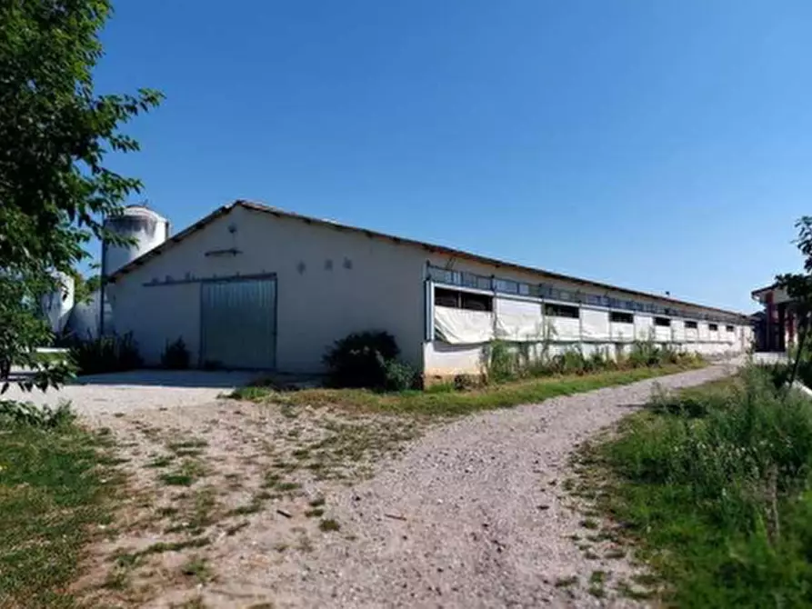 casa indipendente in vendita a Sona