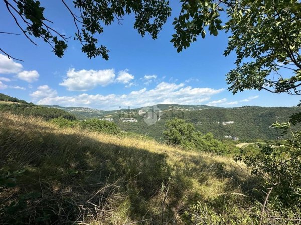 terreno agricolo in vendita a Sona