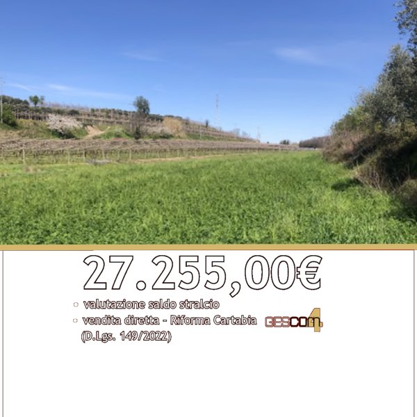 terreno in vendita a Sona in zona Palazzolo
