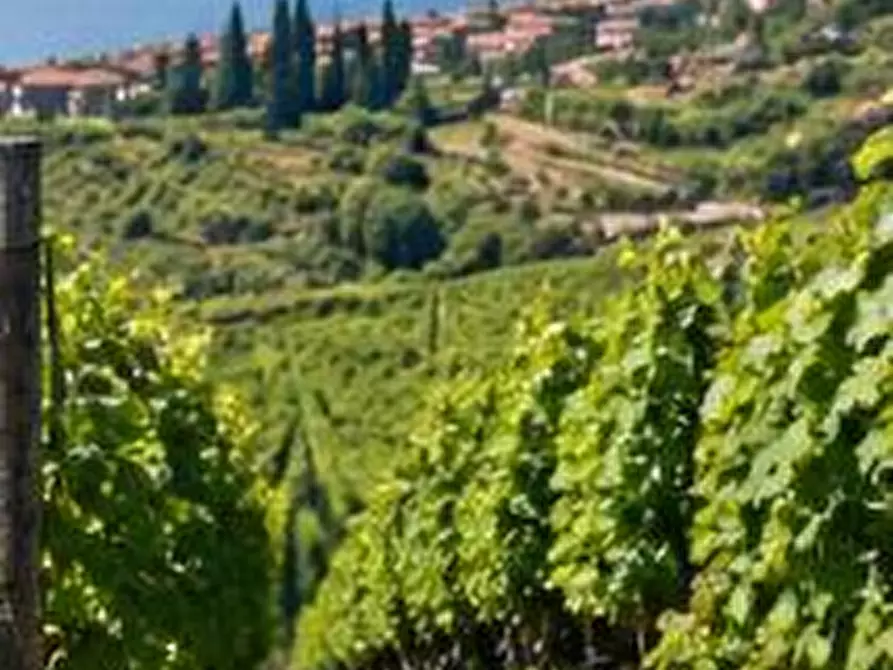 terreno in vendita a Sona