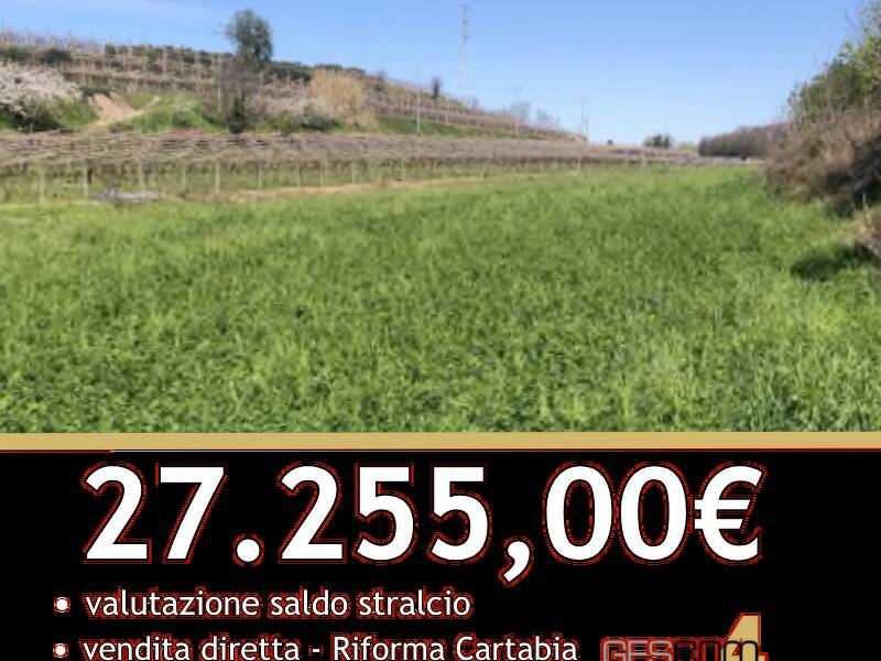 terreno in vendita a Sona