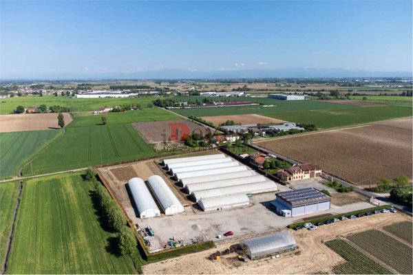 terreno agricolo in vendita a Sorgà in zona Bonferraro
