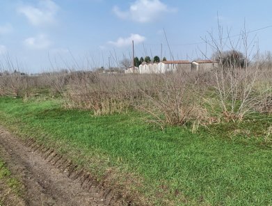 terreno agricolo in vendita a Sorgà in zona Pontepossero