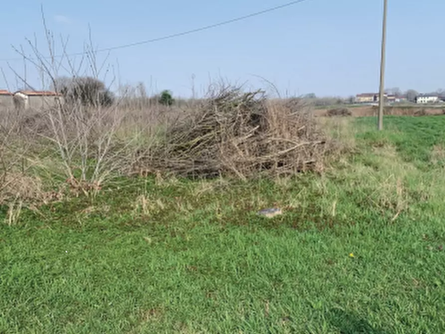 terreno agricolo in vendita a Sorgà in zona Pontepossero