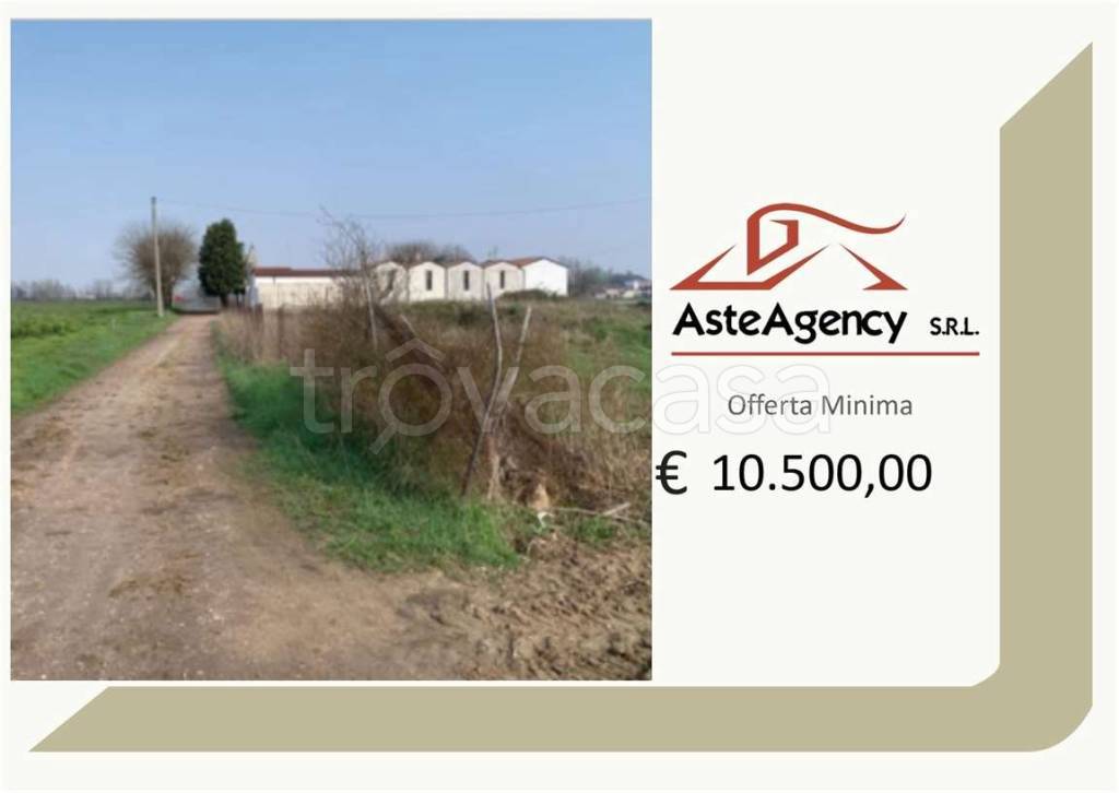 terreno agricolo in vendita a Sorgà in zona Pontepossero