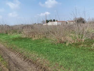 terreno in vendita a Sorgà in zona Pontepossero
