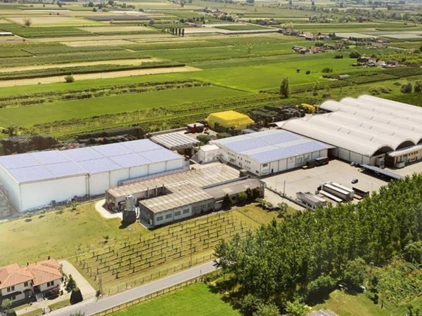 locale commerciale in vendita a Terrazzo