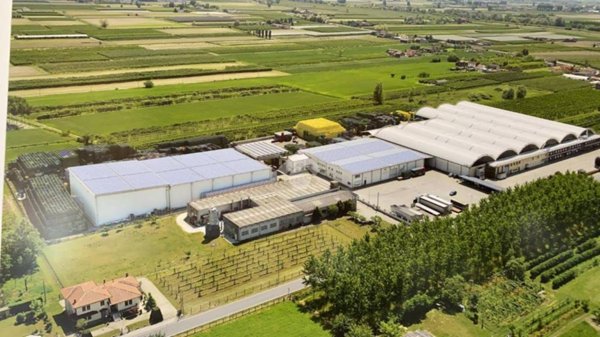 locale commerciale in vendita a Terrazzo