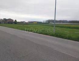 appartamento in vendita a Terrazzo