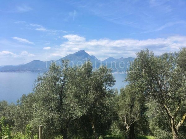 terreno agricolo in vendita a Torri del Benaco in zona Pai