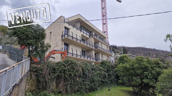 appartamento in vendita a Torri del Benaco