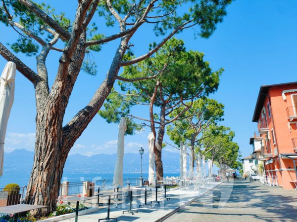 immagine annuncio 0 di 5