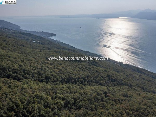 terreno agricolo in vendita a Torri del Benaco in zona Albisano