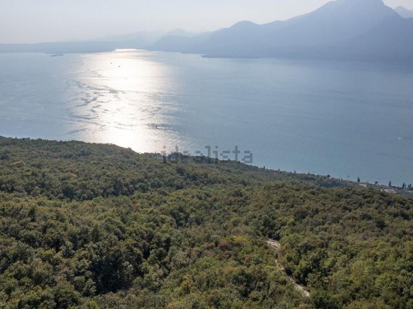 terreno agricolo in vendita a Torri del Benaco in zona Albisano