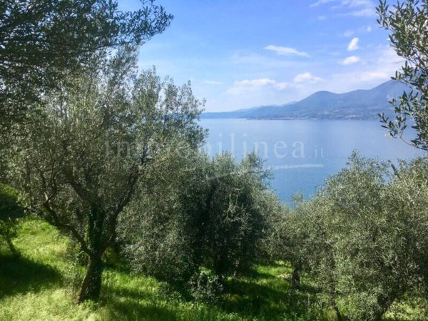 terreno agricolo in vendita a Torri del Benaco in zona Pai